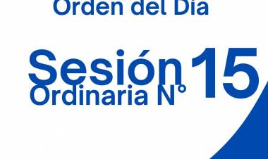 Resumen de la Sesión Ordinaria N° 15