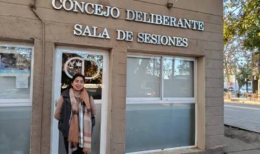 Tu voz en el Concejo: Cómo usar la "Banca del Ciudadano" para cambiar Colonia Caroya